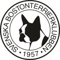 Logotyp